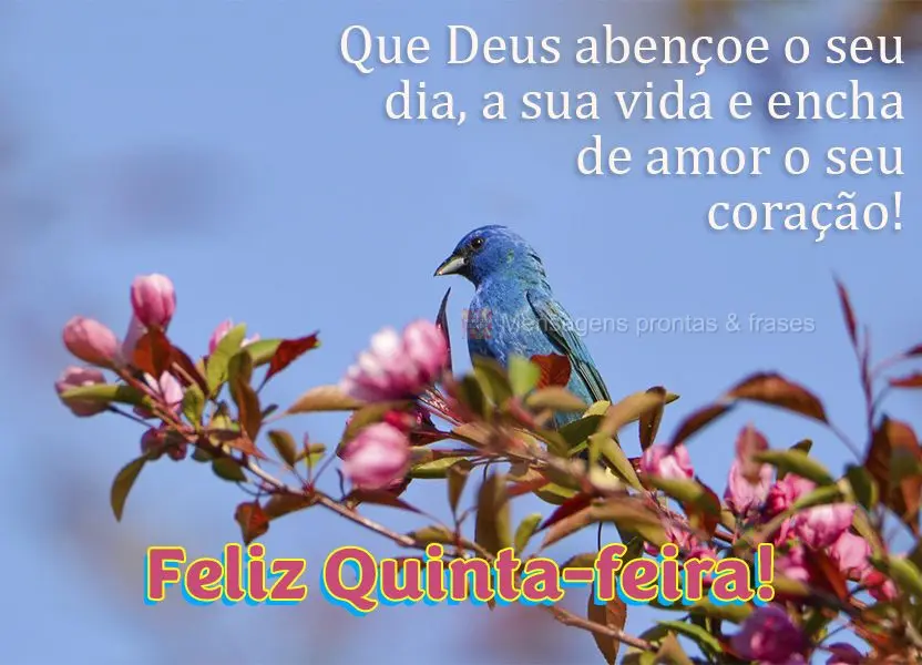 Que Deus abençoe o seu dia, a sua vida e encha de amor o seu coração! Feliz Quinta-feira! 