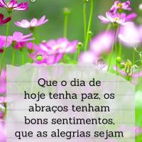 Que o dia de hoje tenha paz, os abraços tenham de bons sentimentos, as alegrias sejam constantes e que possamos ser gratos por tudo isso! Feliz Segunda-...