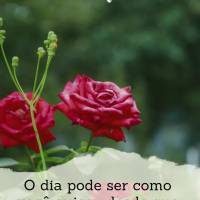 O dia pode ser como você quiser, desde que seu ponto de vista esteja voltado para enxergar o lado bonito da vida! Feliz Sexta-feira!