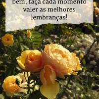 Seja intenso quando você estiver na companhia de pessoas que lhe fazem bem, faça cada momento valer a melhores lembranças! Feliz final de semana!