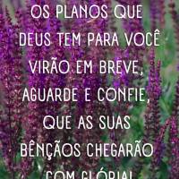 Os planos que Deus tem para você virão em breve, aguarde e confie, que as suas bênçãos chegarão com glória!