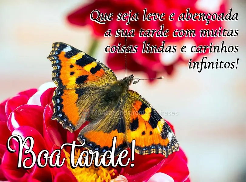 Que seja leve e abençoada a sua tarde com muitas coisas lindas e carinhos infinitos! Boa tarde!