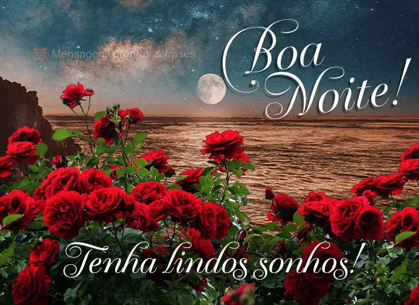 Tenha lindos sonhos! Boa noite! 