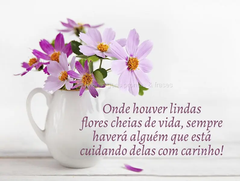 Onde houver lindas flores cheias de vida, sempre haverá alguém que está cuidando delas com carinho!
