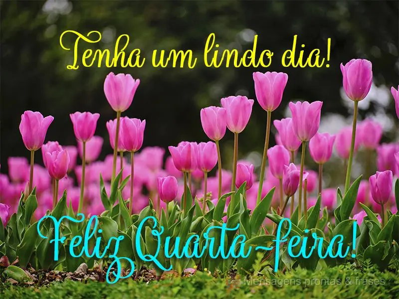Tenha um lindo dia! Feliz Quarta-feira! 