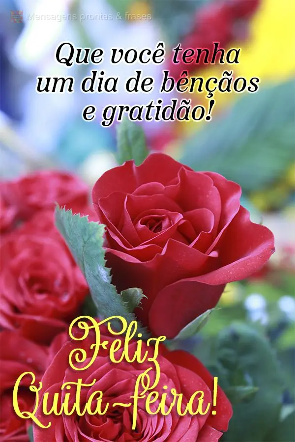 Que você tenha um dia de bênçãos e gratidão! Feliz Quinta-feira!