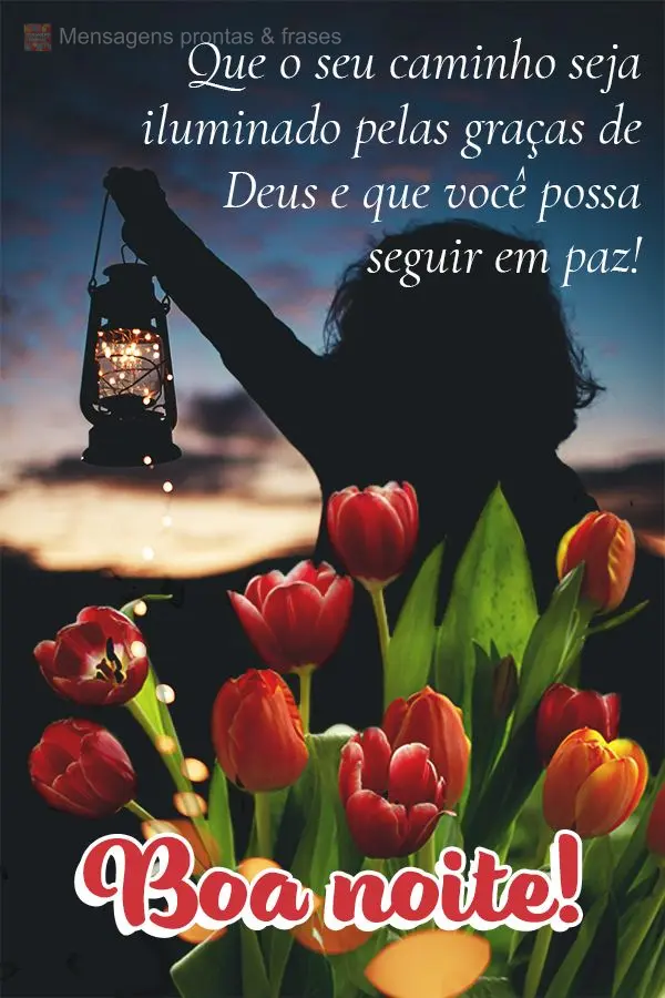 Que o seu caminho seja iluminado pelas graças de Deus e que você possa seguir em paz! Boa noite! 