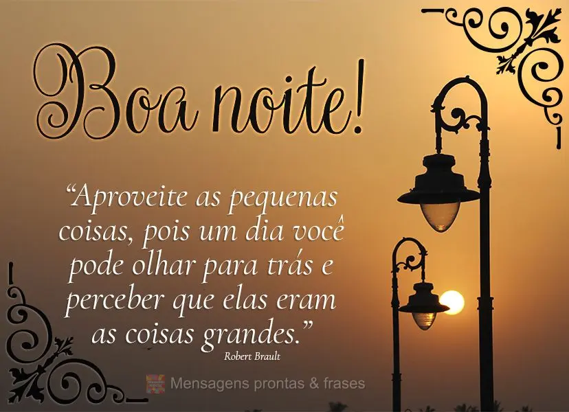 "Aproveite as pequenas coisas, pois um dia você pode olhar para trás e perceber que elas eram as coisas grandes." Boa noite!  Robert Brault