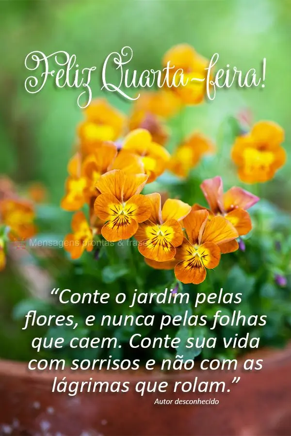 “Conte o jardim pelas flores, nunca pelas folhas que caem. Conte sua vida com sorrisos e não com as lágrimas que rolam.” Feliz Quarta-feira!  Autor...