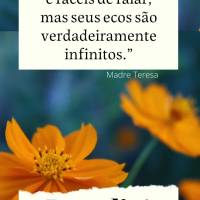 “Palavras gentis podem ser curtas e fáceis de falar, mas seus ecos são verdadeiramente infinitos.” Bom dia! Madre Teresa