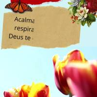 Acalma o teu coração e respira fundo, porque Deus te deu mais um dia! Bom dia!