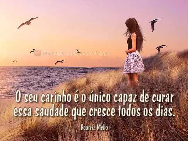 O seu carinho é o único capaz de curar essa saudade que cresce todos os dias. 
 Beatriz Mello