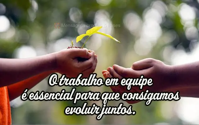 O trabalho em equipe é essencial para que consigamos evoluir juntos.
