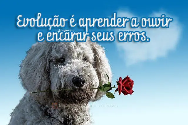 Evolução é aprender a ouvir e encarar seus erros.
