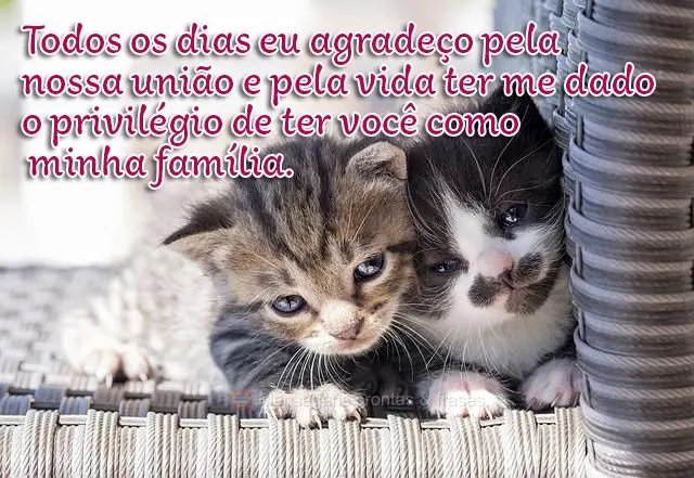 Todos os dias eu agradeço pela nossa união e pela vida ter me dado o privilégio de ter você como minha família.

