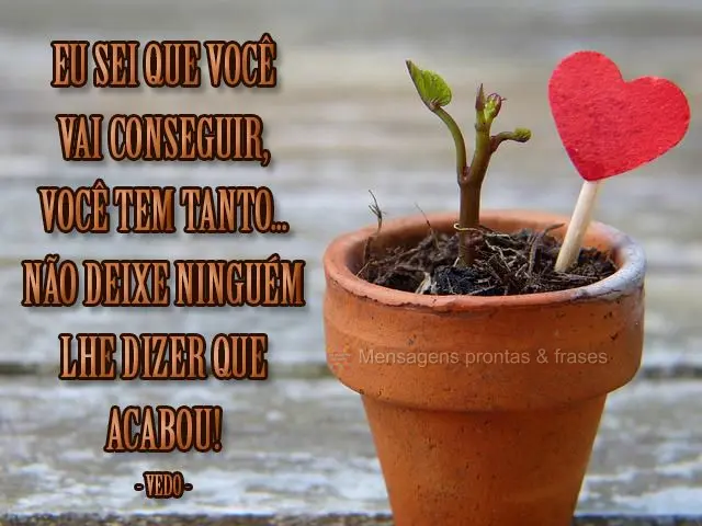 Eu sei que você vai conseguir, você tem tanto... Não deixe ninguém lhe dizer que acabou! 
 Vedo