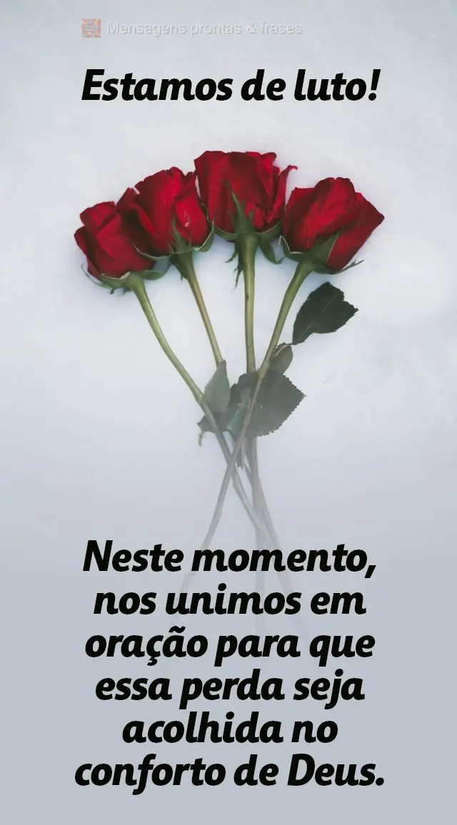 Neste momento, nos unimos em oração para que essa perda seja acolhida no conforto de Deus.
 Estamos de luto!