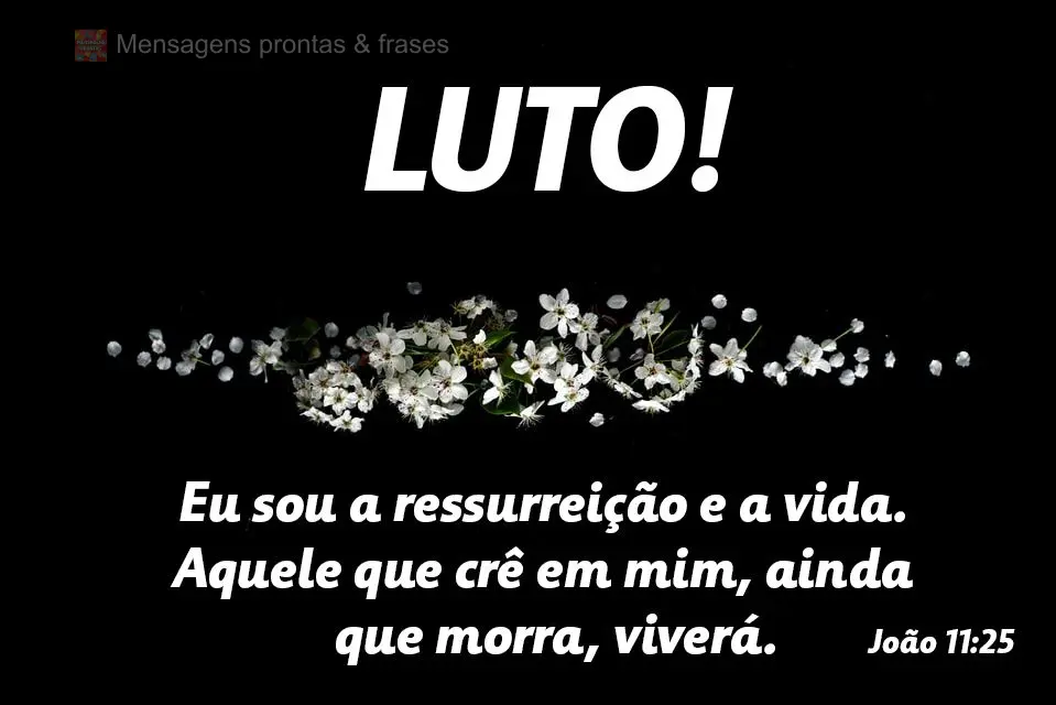 Eu sou a ressurreição e a vida. Aquele que crê em mim, ainda que morra, viverá. 
 LUTO! João 11,25