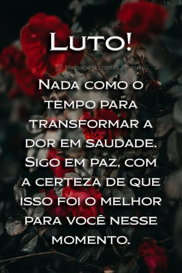  Nada como o tempo para transformar a dor em saudade. Sigo em paz, com a certeza de que isso foi o melhor para você nesse momento. Luto!