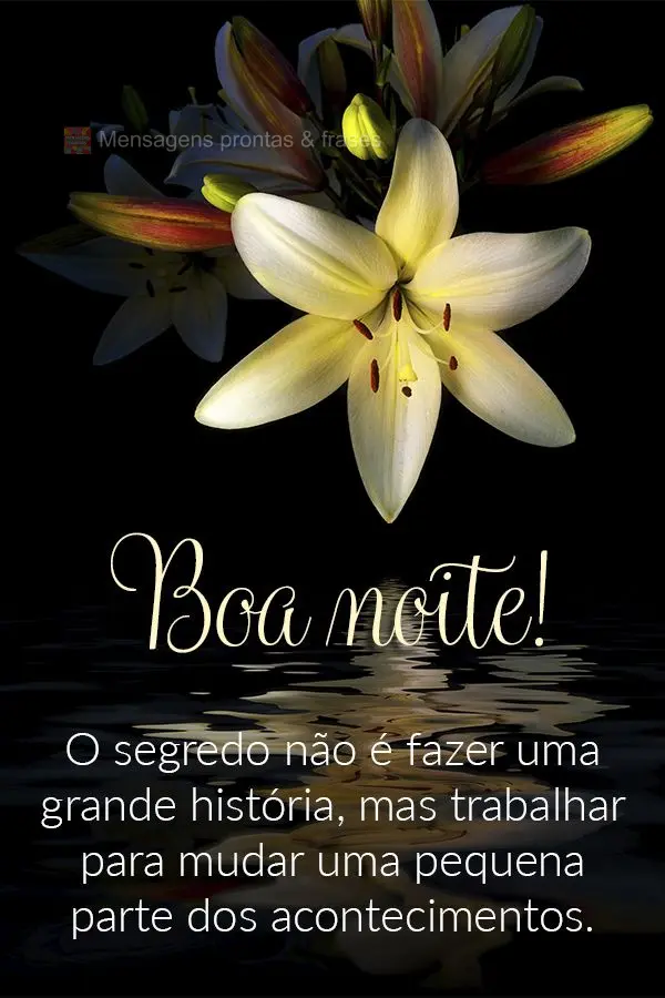 O segredo não é fazer uma grande história, mas trabalhar para mudar uma pequena parte dos acontecimentos. Boa noite!