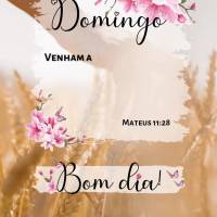 Domingo 

Venham a mim, todos os que estão cansados e sobrecarregados, e eu 
darei descanso a vocês.
Mateus 11,28

Bom dia! Bom dia  Mateus 11:28...