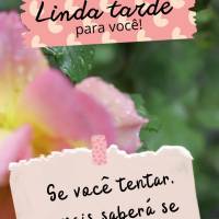 Se você não tentar, jamais saberá se vai ser possível. Linda tarde para você!