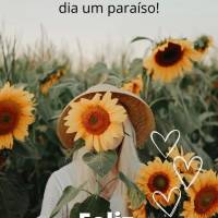 Abra a tua mente para enxergar as coisas boas e um sorriso para fazer do dia um paraíso! Feliz Quarta-feira! 