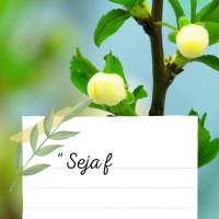 "Seja fiel nas pequenas coisas porque é nelas que reside a sua força." Madre Teresa