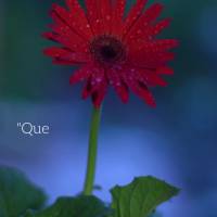 "Que diremos então a estas coisas? Se Deus é por nós, quem será contra nós?"  Romanos 8,31