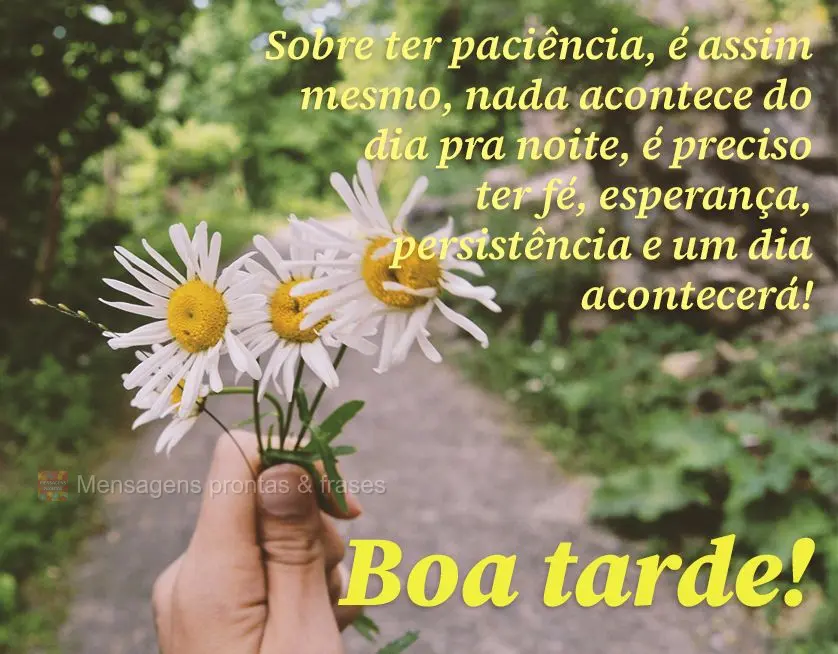 Sobre ter paciência, é assim mesmo, nada acontece do dia pra noite, é preciso ter fé, esperança, persistência e um dia acontecerá! Boa tarde!