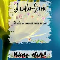 Quinta-feira
"Desde o nascer até o pôr do sol, que o nome do Senhor seja louvado."
Salmos 113,3
Bom dia bom dia, quinta-feira Salmos 113:3
