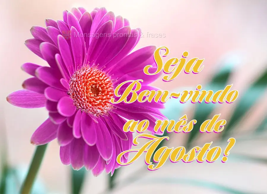 Seja bem-vindo ao Mês de Agosto!