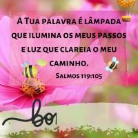 A Tua palavra é lâmpada que ilumina os meus passos e luz que clareia o meu caminho. 
Salmos 119:105
Bom dia bom dia Salmos 119:105