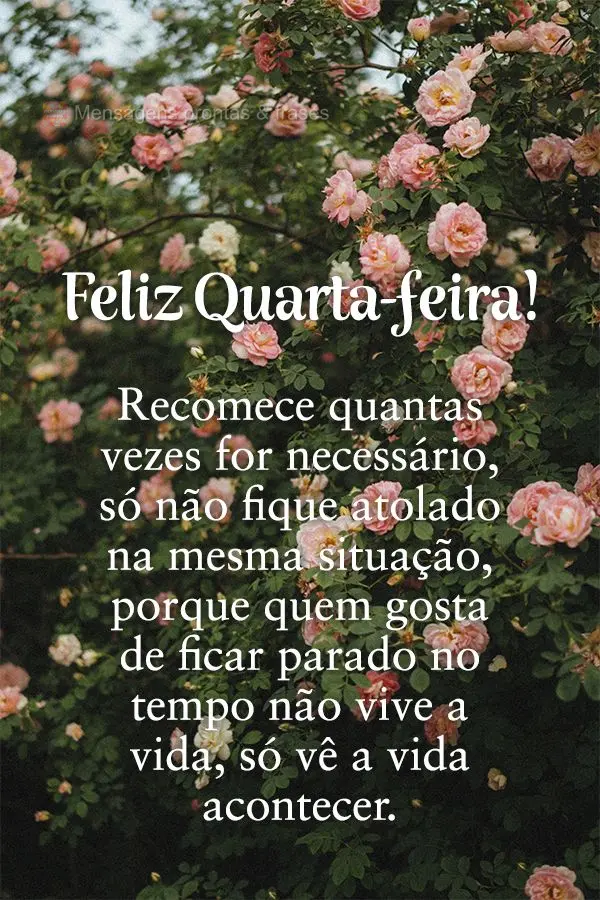 Recomece quantas vezes for necessário, só não fique atolado na mesma situação, porque quem gosta de ficar parado no tempo não vive a vida, só vê ...