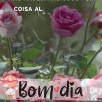 Não andem ansiosos por coisa alguma, mas em tudo, pela oração e súplicas, e com ação de graças, apresentem seus pedidos a Deus.
Filipenses 4,6
b...