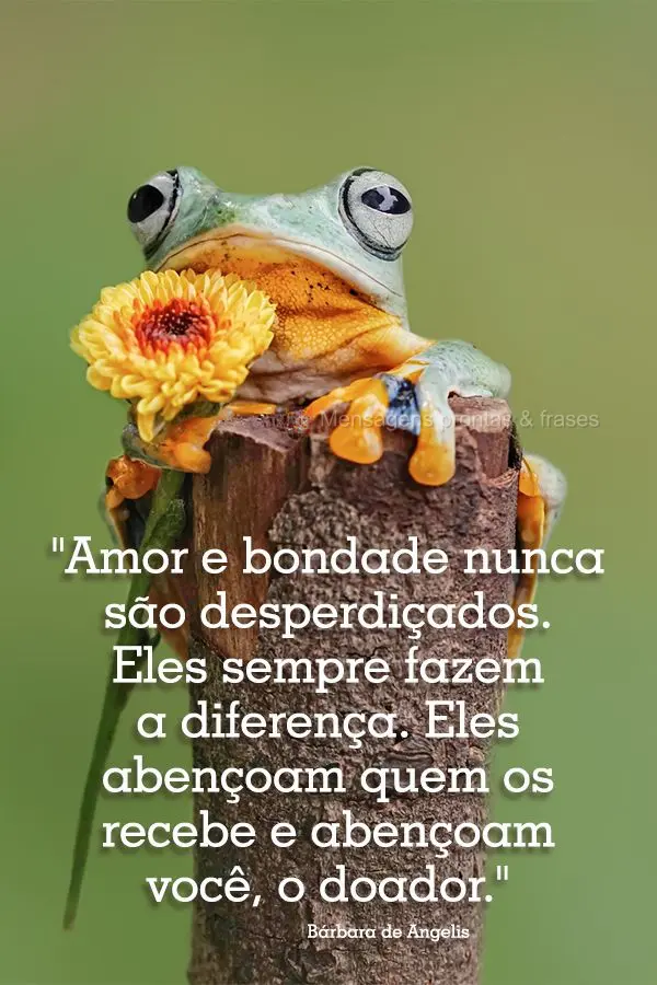 "Amor e bondade nunca são desperdiçados. Eles sempre fazem a diferença. Eles abençoam quem os recebe e abençoam você, o doador." Bárbara de Angeli...