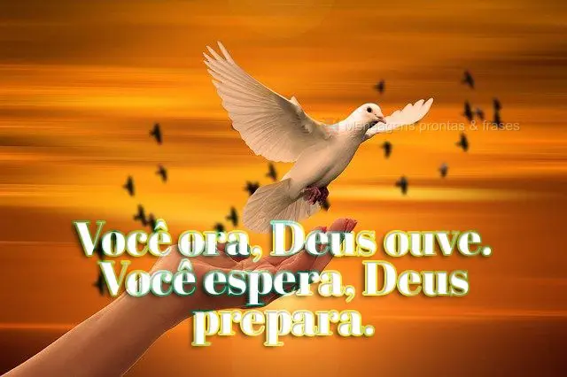 Você ora, Deus ouve. Você espera, Deus prepara.
