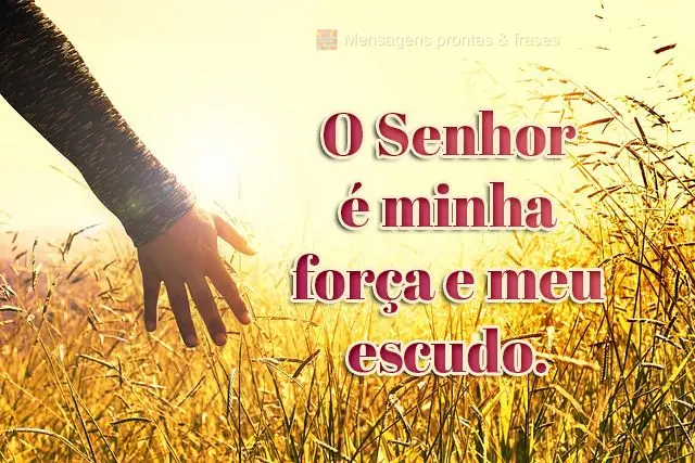 O Senhor é minha força e meu escudo.
