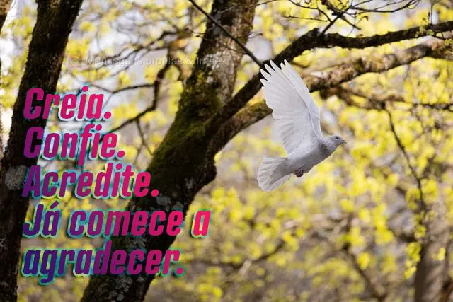 Creia. Confie. Acredite. Já comece a agradecer.
