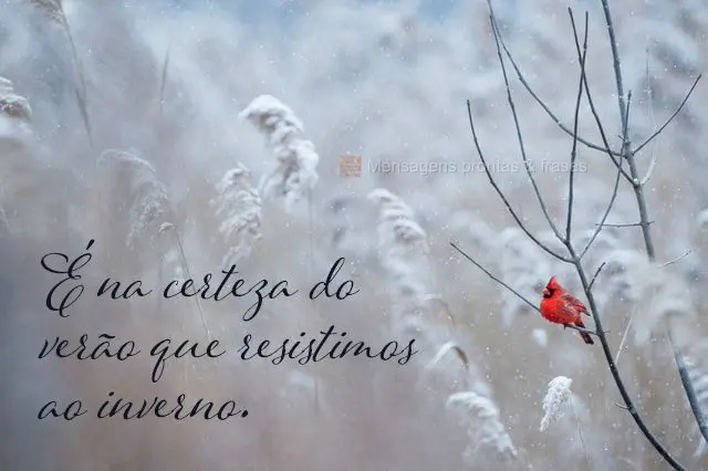 É na certeza do verão que resistimos ao inverno.
