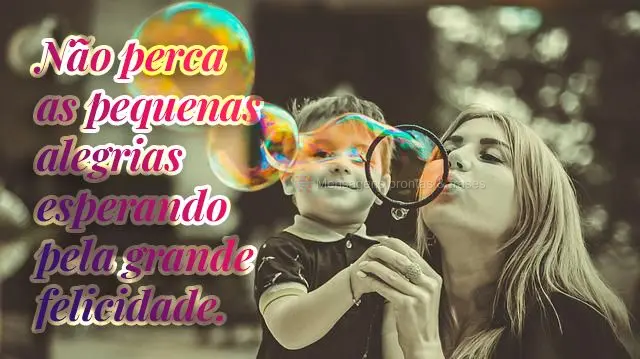 Não perca as pequenas alegrias esperando pela grande felicidade.
