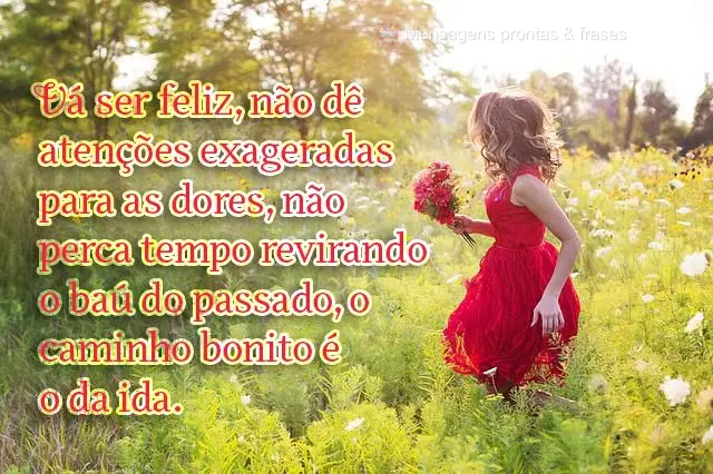Vá ser feliz, não dê atenções exageradas para as dores, não perca tempo revirando o baú do passado, o caminho bonito é o da ida.
