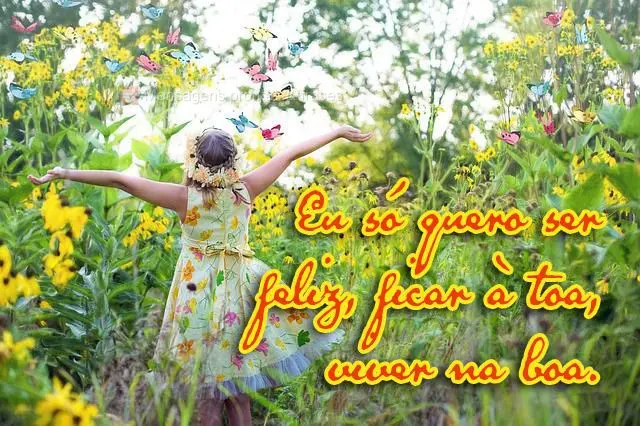 Eu só quero ser feliz, ficar à toa, viver na boa.
