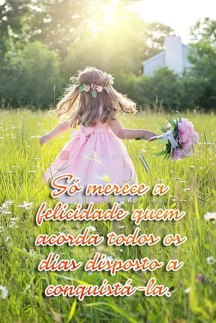 Só merece a felicidade quem acorda todos os dias disposto a conquistá-la.
