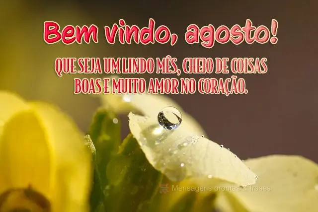 Que seja um lindo mês, cheio de coisas boas e muito amor no coração.
 Bem vindo, agosto!