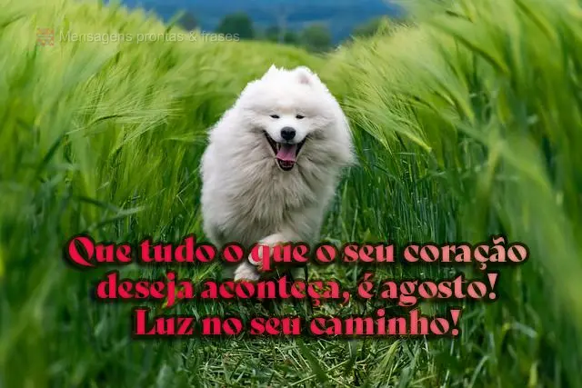 Que tudo o que o seu coração deseja aconteça, é agosto! Luz no seu caminho!
