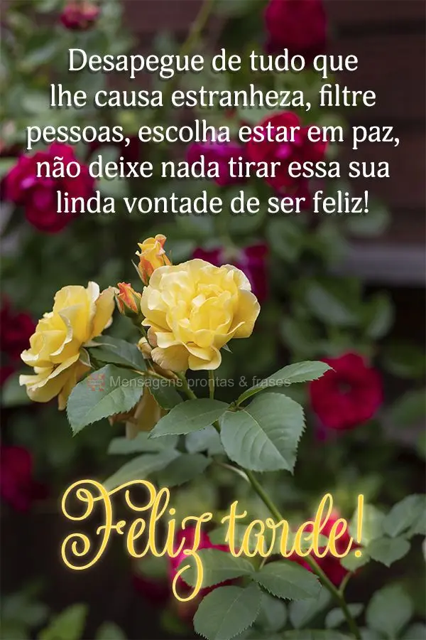 Desapegue de tudo que lhe causa estranheza, filtre pessoas, escolha estar em paz, não deixe nada tirar essa sua linda vontade de ser feliz!  Feliz tarde...