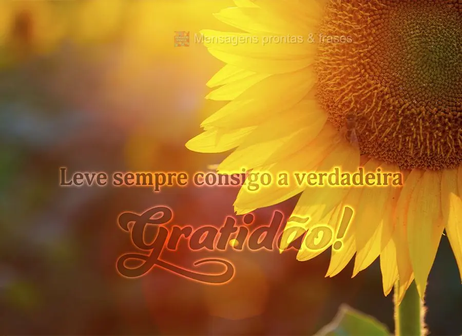Leve sempre consigo a verdadeira Gratidão!