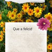 Que a felicidade encha seu coração de coragem e que você siga de cabeça erguida todos os dias com vontade de vencer. Bom dia!