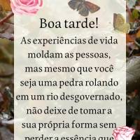 As experiências de vida moldam as pessoas, mas mesmo que você seja uma pedra rolando em um rio desgovernado, não deixe de tomar a sua própria forma s...